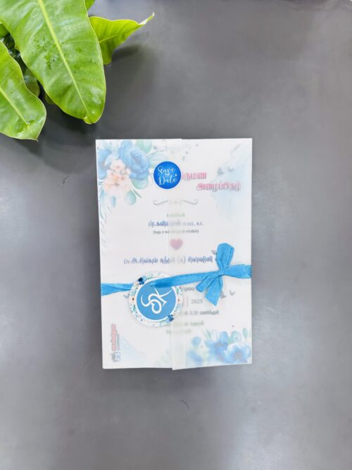 Cyan theme With Round Stirf